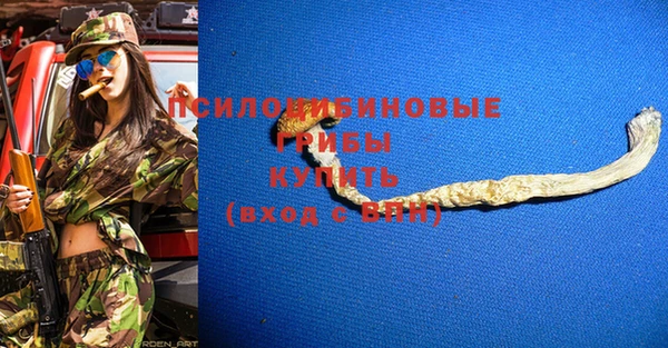 гидра Навашино