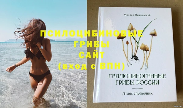 ешки Наволоки