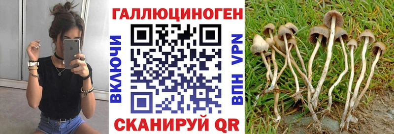 OMG рабочий сайт Кисловодск это состав Псилоцибиновые грибы прущие грибы
